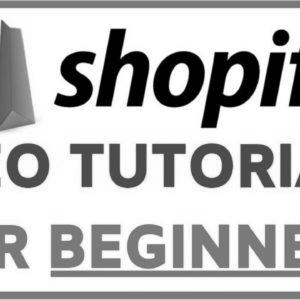 Shopify web optimization Optimization Tutorial For Freshmen |  Step by step FREE TRAFFIC